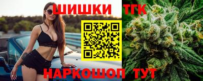 твердый Кингисепп
