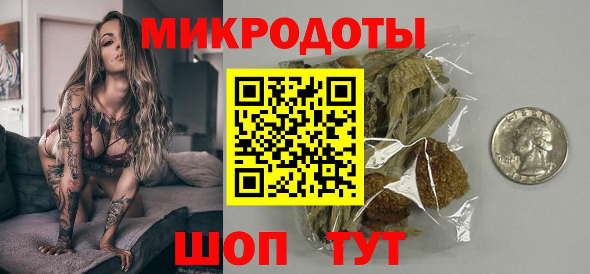 Псилоцибиновые грибы Psilocybine cubensis Лысьва