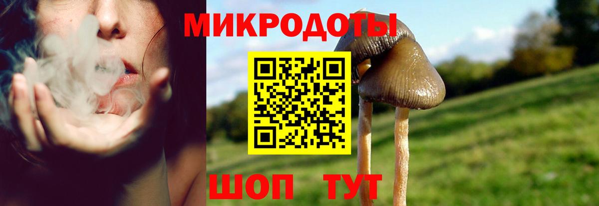 Лысьва  Псилоцибиновые грибы мухоморы  Вход с VPN 